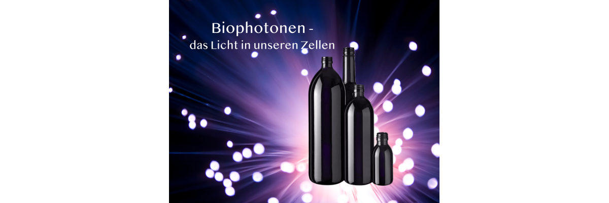 Warum wir Violettglas für Biowiema nutzen - Warum wir Violettglas für Biowiema nutzen