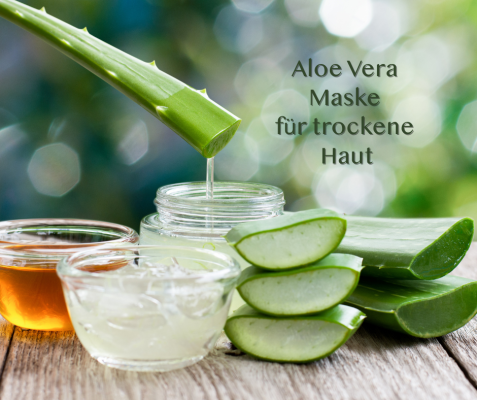 🌿 Aloe Vera – Die grüne Heldin für strapazierte Haut - 🌿 Aloe Vera – Die grüne Heldin für strapazierte Haut