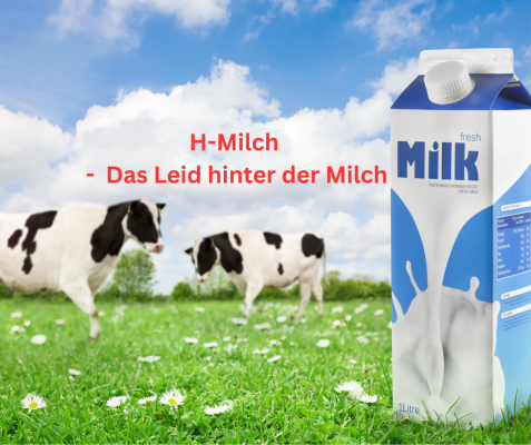 🥛 Ist Milch wirklich noch ein natürliches Lebensmittel? - 🥛 Ist Milch wirklich noch ein natürliches Lebensmittel?