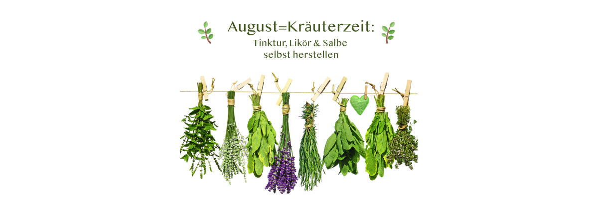 🌿 August-Kräuter: Tinkturen, Liköre &amp; Salben selbst herstellen - 🌿 August-Kräuter: Tinkturen, Liköre &amp; Salben selbst herstellen