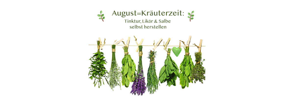 🌿 August-Kräuter: Tinkturen, Liköre &amp; Salben selbst herstellen - 🌿 August-Kräuter: Tinkturen, Liköre &amp; Salben selbst herstellen