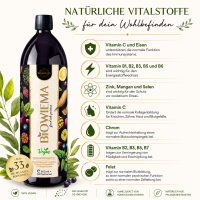 ABO - Biowiema Bio-Vitalstoffkomplex 500ml